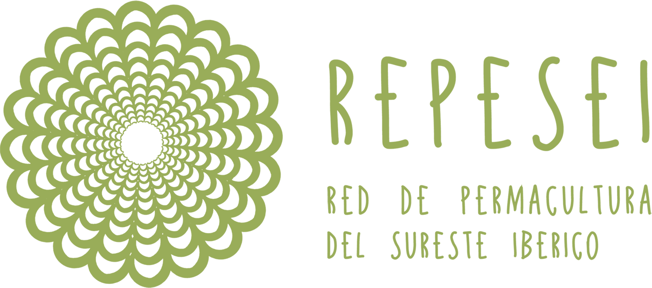 logo_REPESEI_full