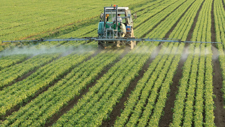 Herbicidas de Monsanto dañan el ADN