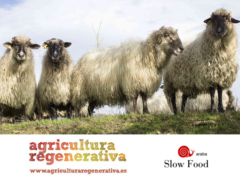 Evento organizado con Slow Food Araba | Visita a granjas regenerativas alavesas
