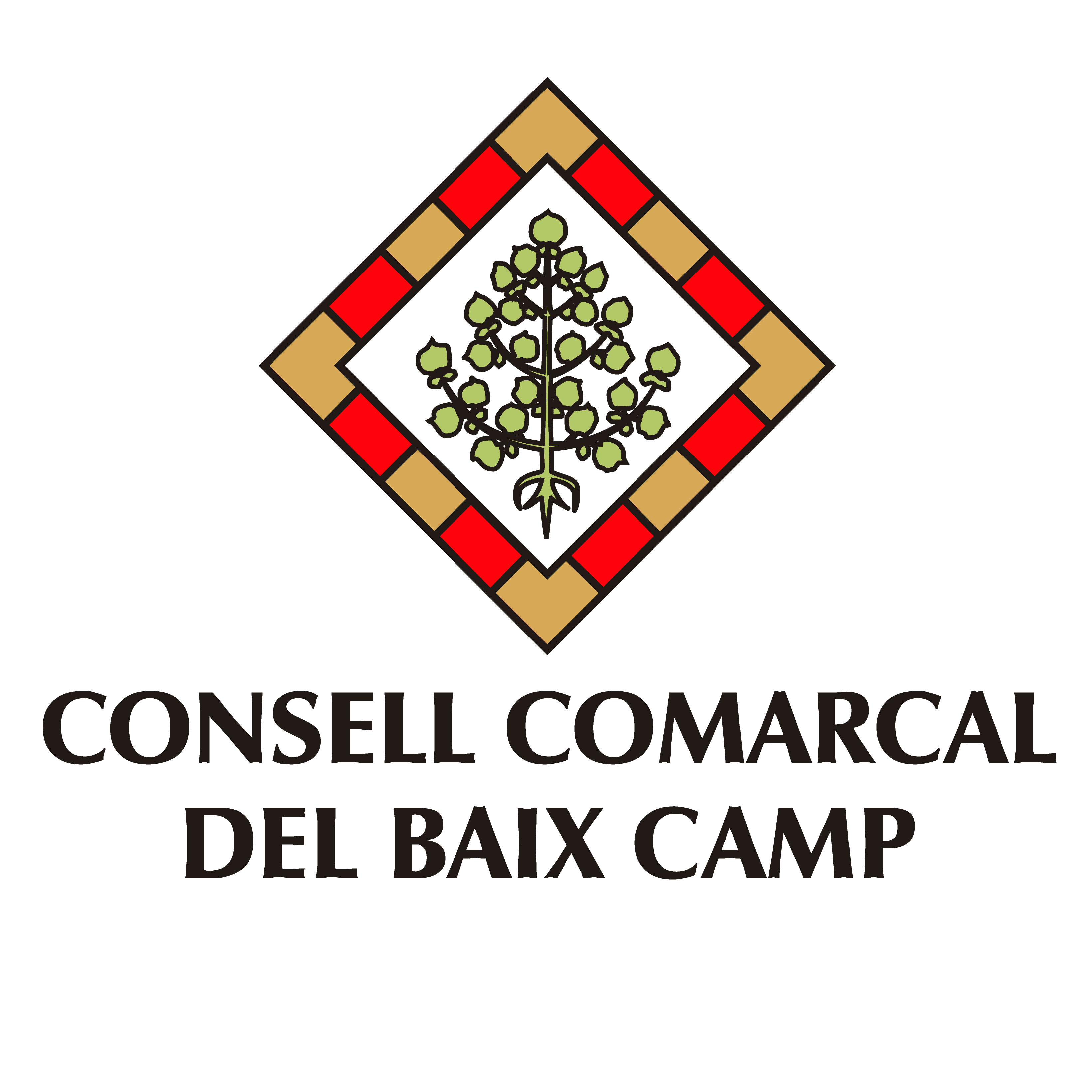Consell Comarcal Baix Camp
