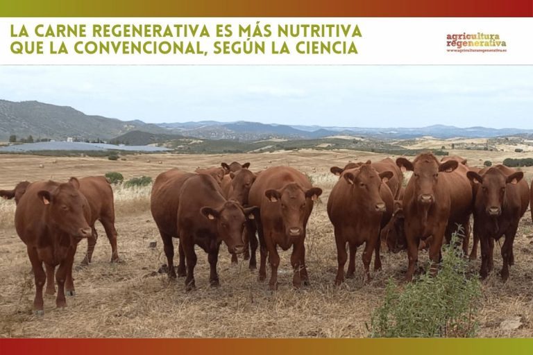 La carne regenerativa es más nutritiva que la convencional, según la ciencia