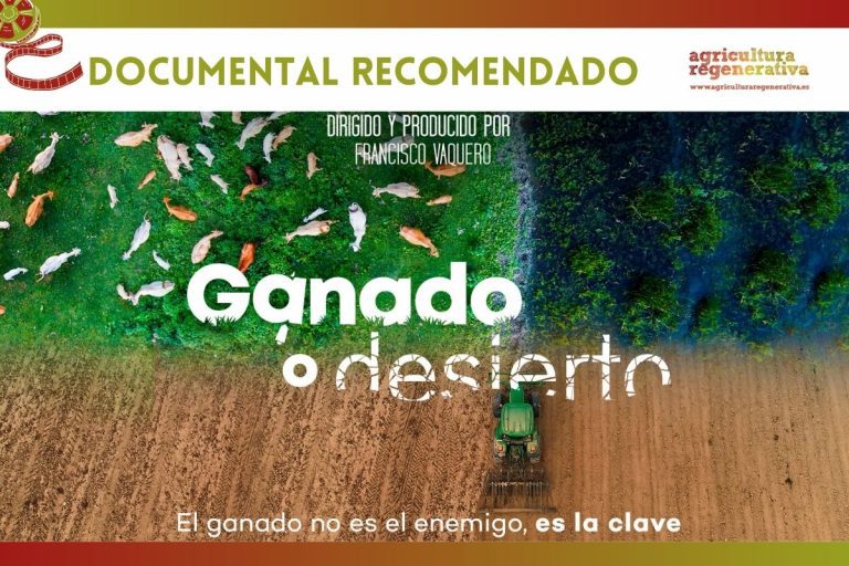 «Ganado o desierto»: el modelo de ganadería que sana la tierra y el clima