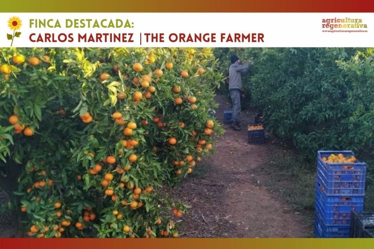 The Orange Farmer: cítricos y aguacates regenerativos directos del árbol a tu casa
