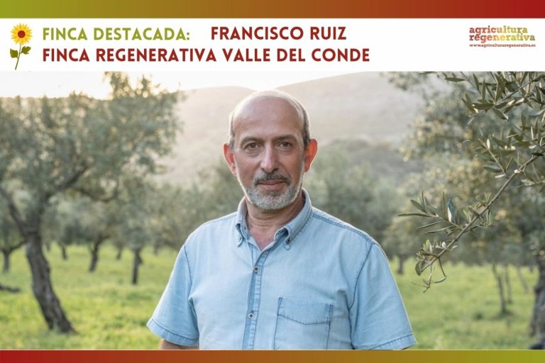Finca regenerativa Valle del Conde: el premiado aceite de un olivar de montaña