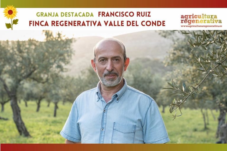 Finca regenerativa Valle del Conde: el premiado aceite de un olivar de montaña