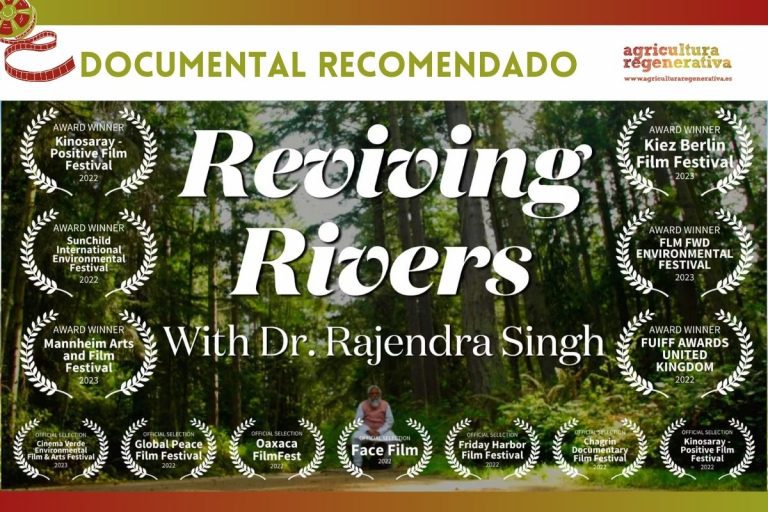 Reviviendo ríos, sanando el clima