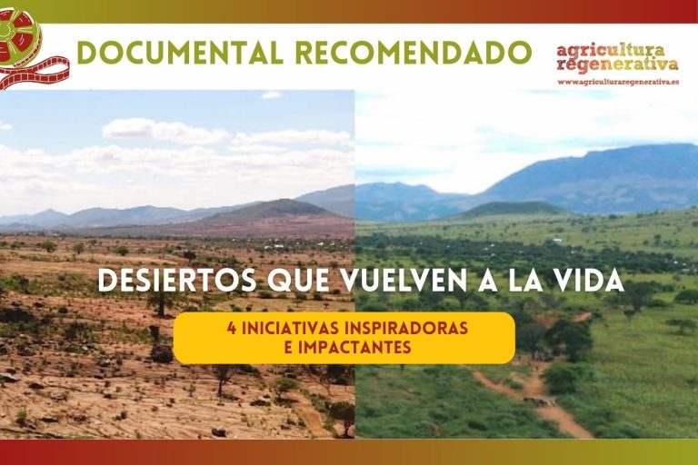 Desiertos que vuelven a la vida: 4 iniciativas inspiradoras e impactantes