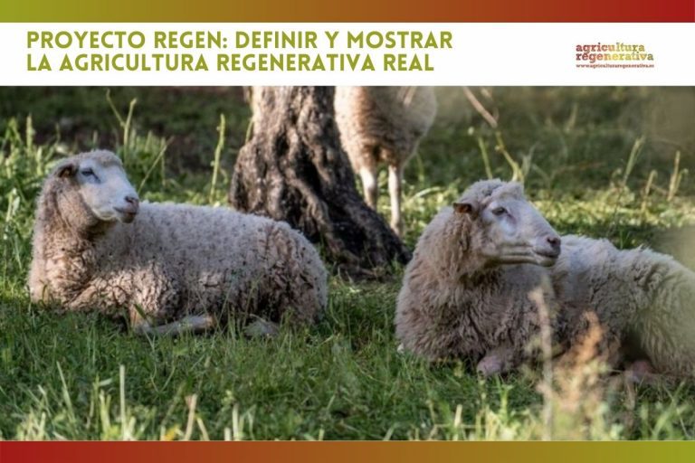 Proyecto REGEN: definir y mostrar la Agricultura Regenerativa real