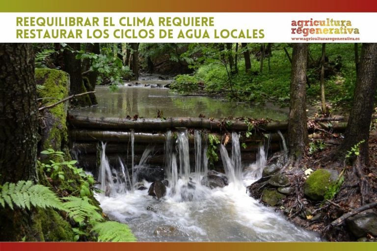 Reequilibrar el clima requiere restablecer los ciclos de agua locales
