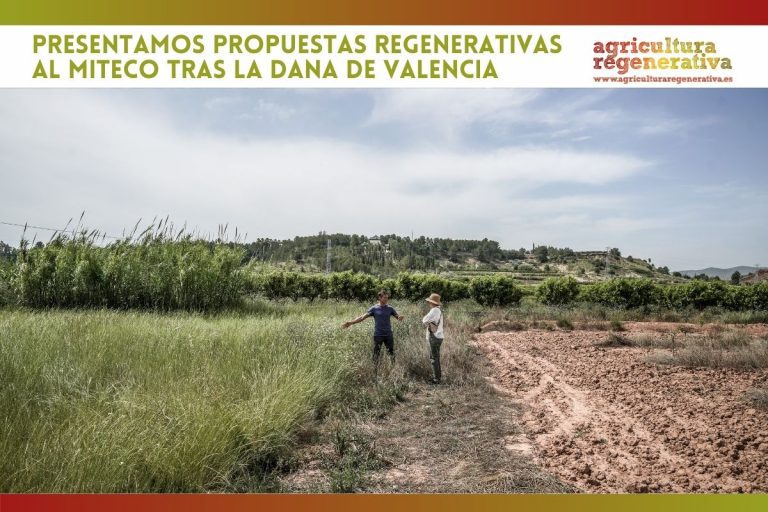 Presentamos propuestas regenerativas al MITECO tras la dana de Valencia