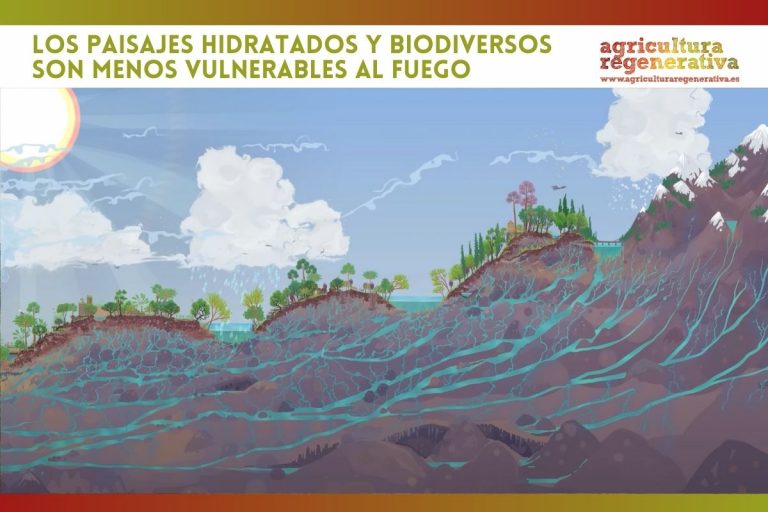 Los paisajes hidratados y biodiversos son menos vulnerables al fuego