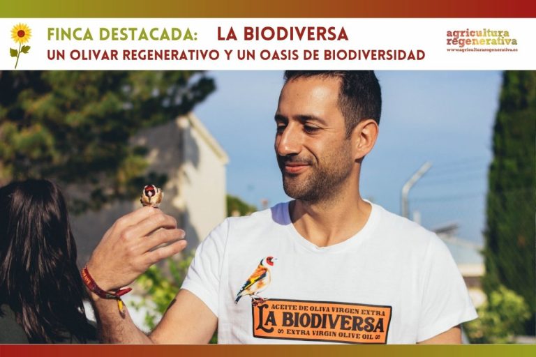 Finca La Biodiversa: un olivar regenerativo y un oasis de biodiversidad