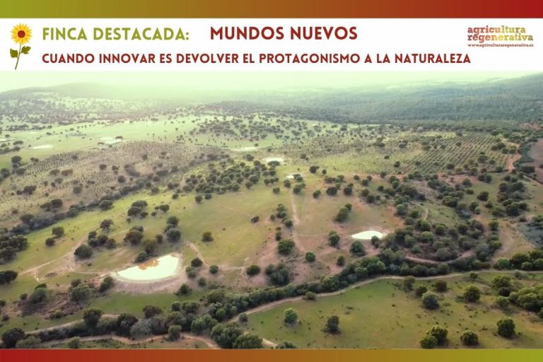 Mundos Nuevos: cuando innovar es devolver el protagonismo a la naturaleza