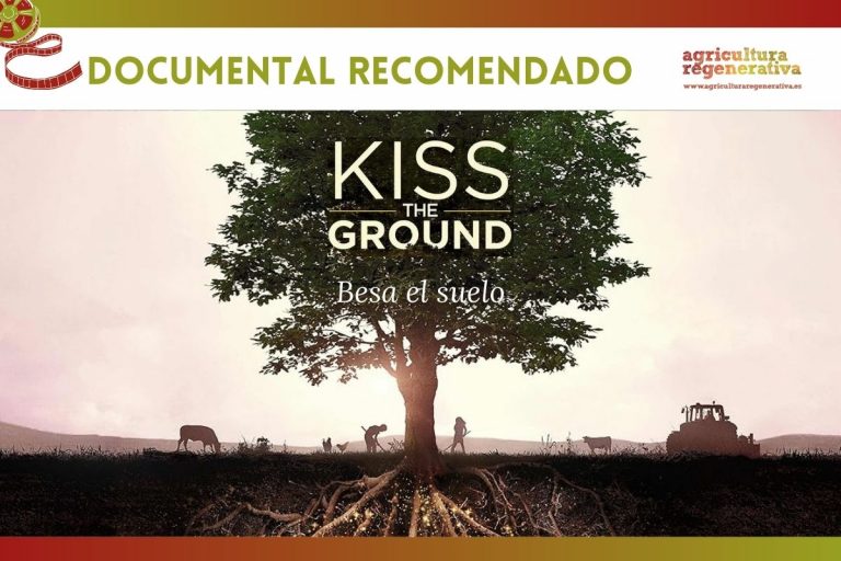 Kiss the Ground: la llave de la regulación del clima está bajo nuestros pies