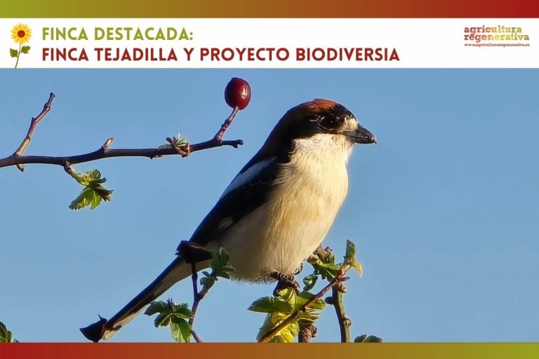 Proyecto Biodiversia: devolviendo la vida a los campos agrícolas