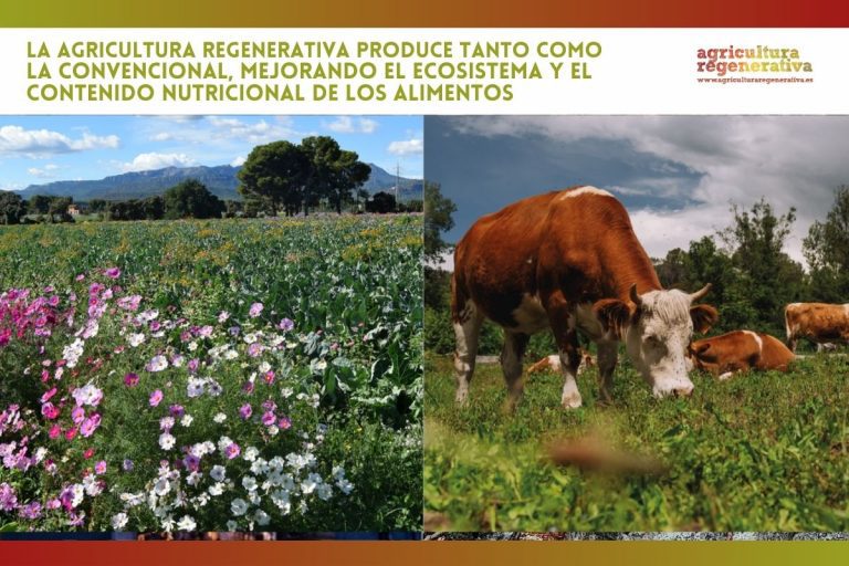 La agricultura regenerativa produce tanto como la convencional, mejorando el ecosistema y el contenido nutricional de los alimentos