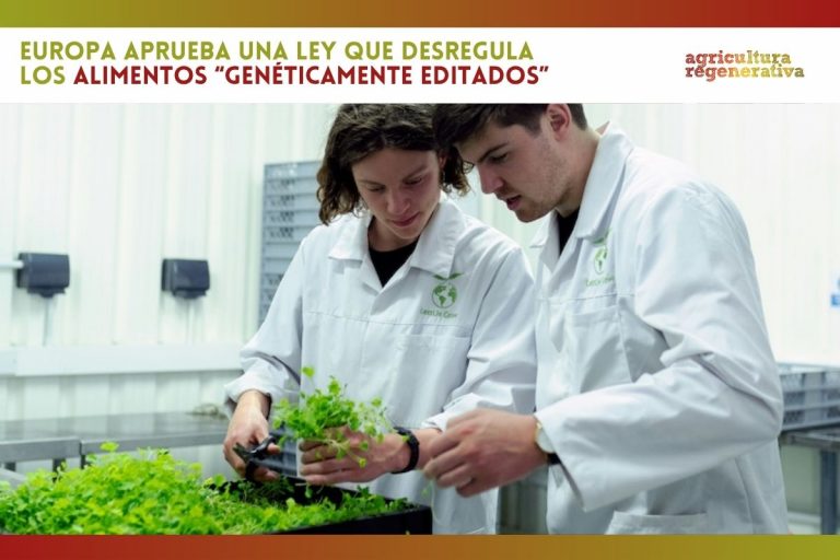 La Eurocámara aprueba una ley que desregula los alimentos “genéticamente editados”